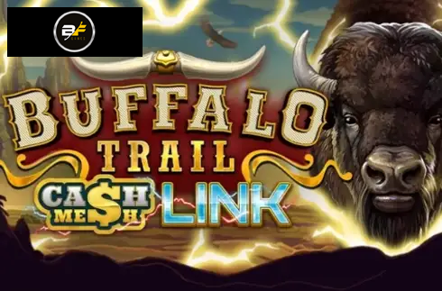Buffalo Trail Cash Mesh Link